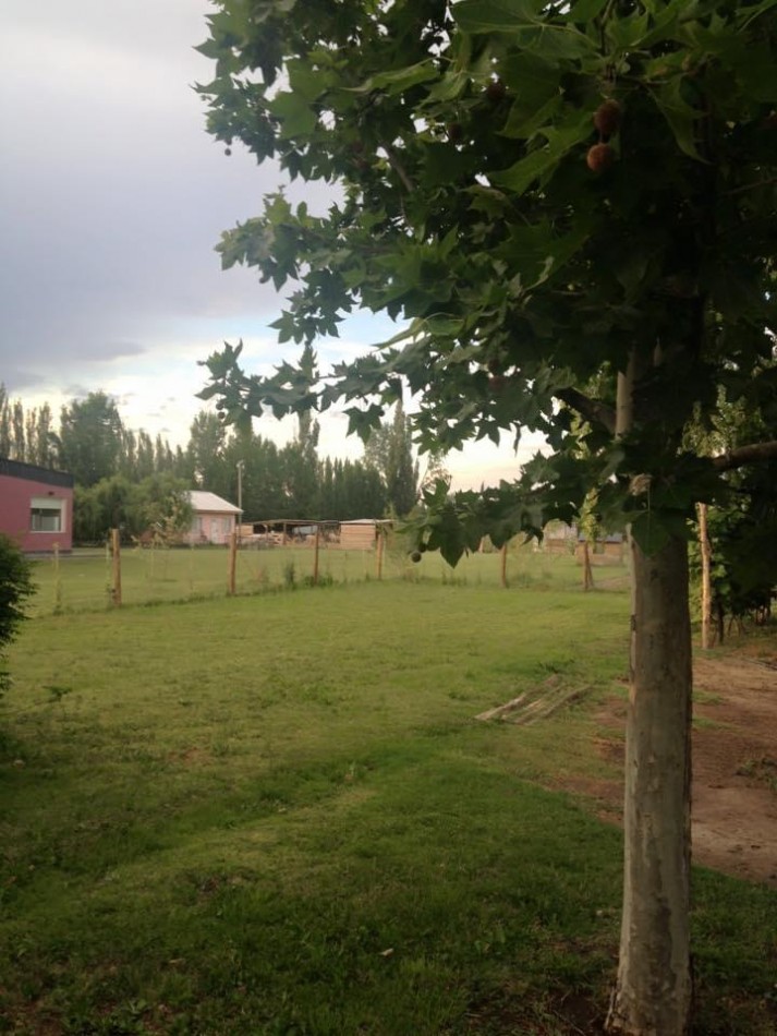 VENTA DE CASA QUINTA EN ALLEN