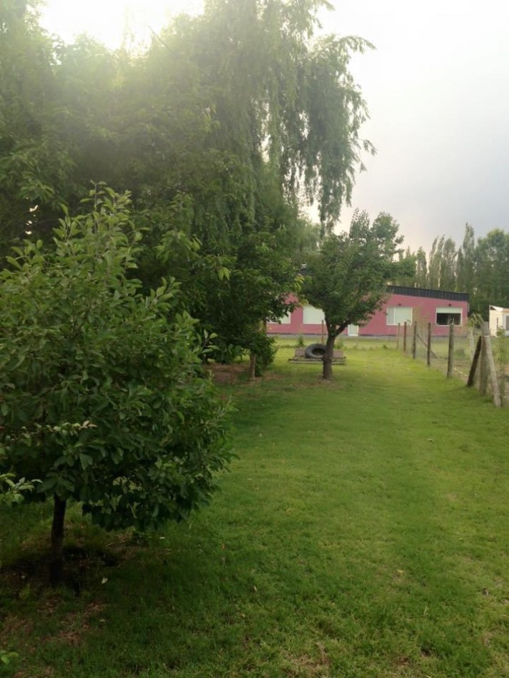 VENTA DE CASA QUINTA EN ALLEN
