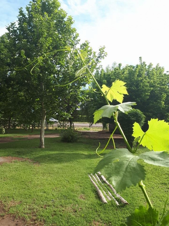 VENTA DE CASA QUINTA EN ALLEN