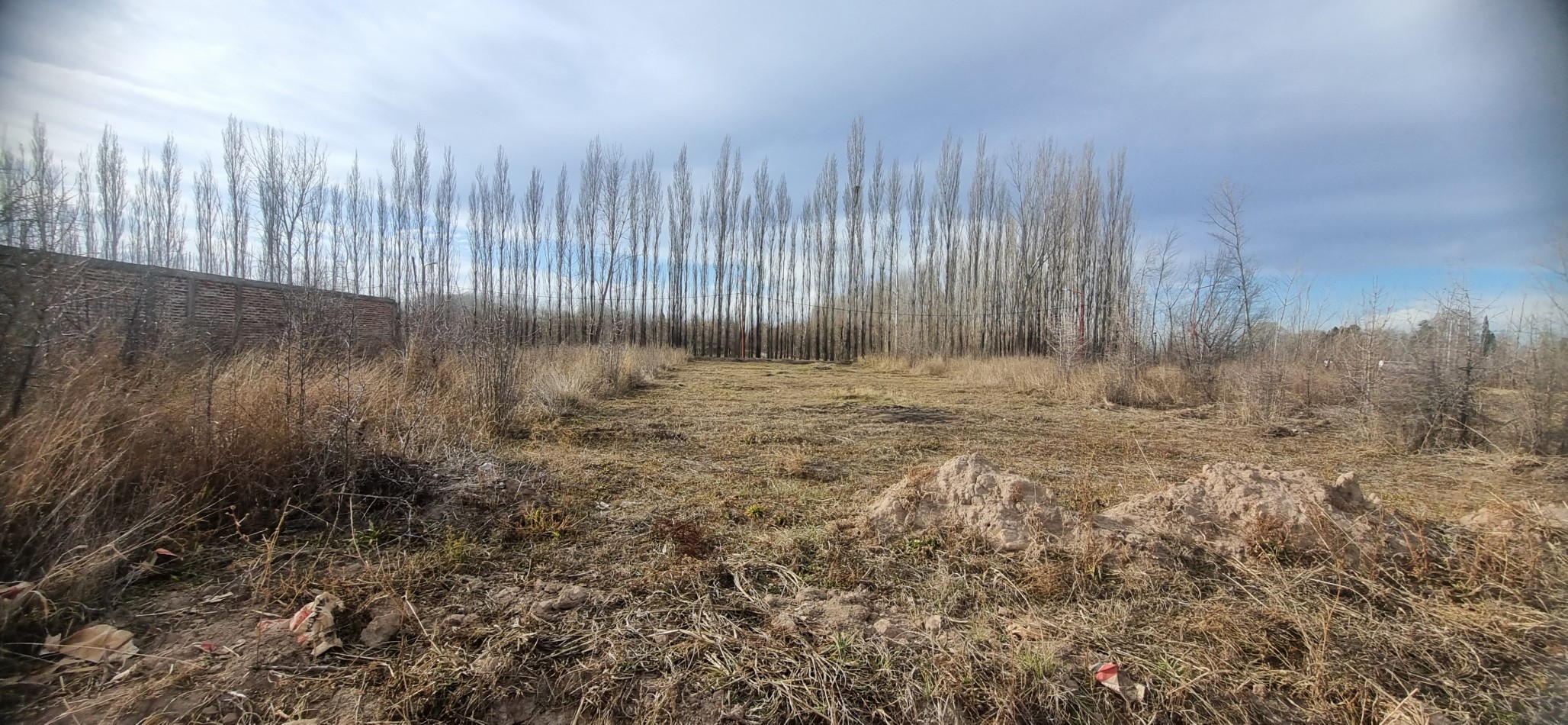 TERRENO EN VENTA - LOTEO MAGISTERIO ETAPA 2 - ALLEN - RIO NEGRO