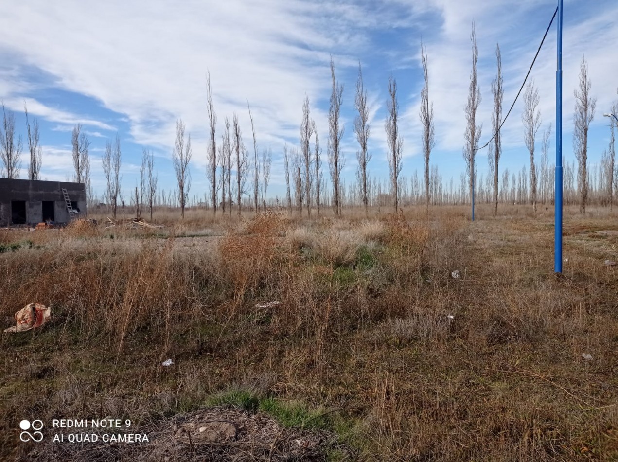 TERRENO EN VENTA - Bo SAN SEBASTIAN - GRAL. ROCA