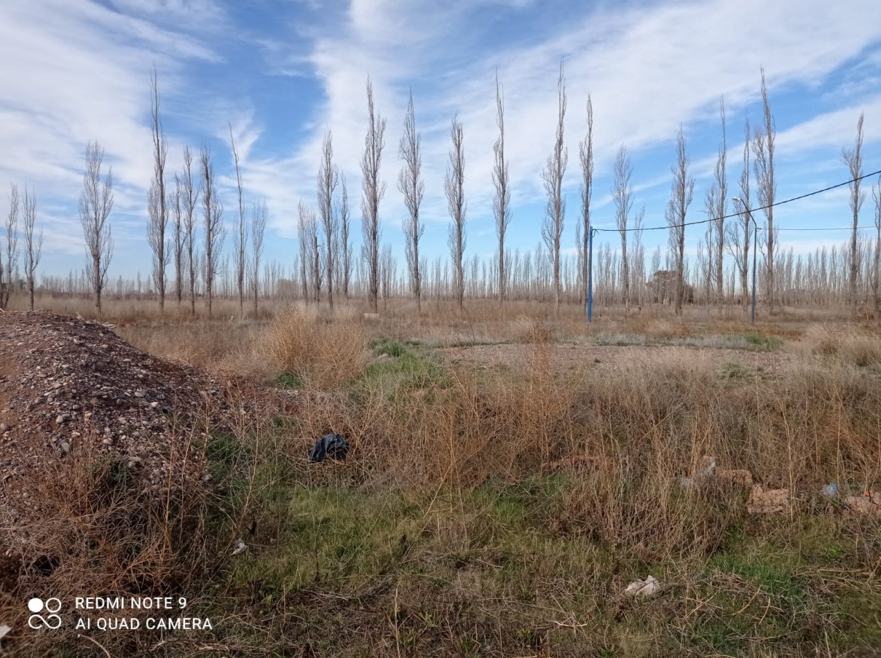 TERRENO EN VENTA - Bo SAN SEBASTIAN - GRAL. ROCA