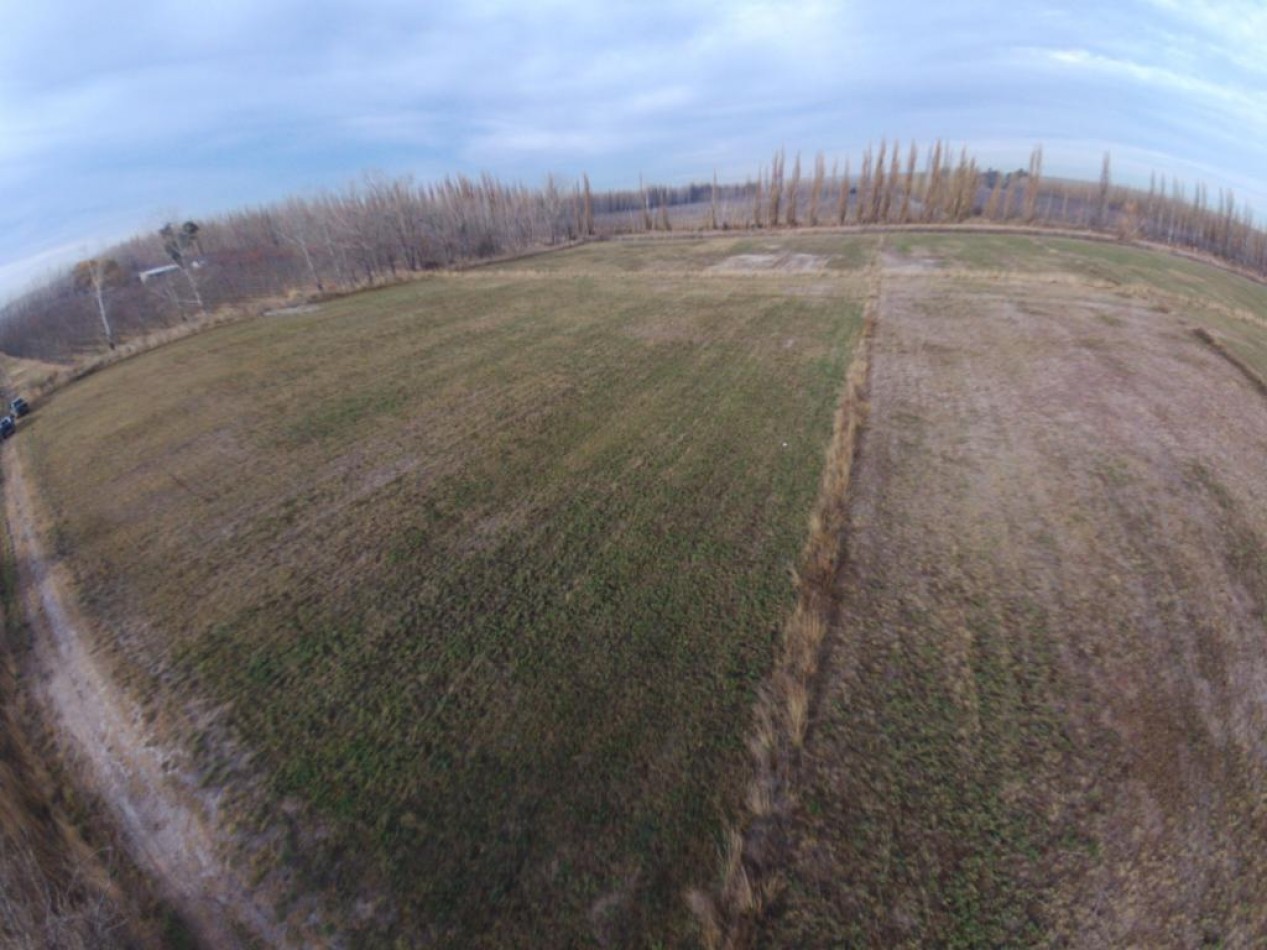 VENTA CHACRA 4.5 HECT. - GRAL. FERNANDEZ ORO - RIO NEGRO