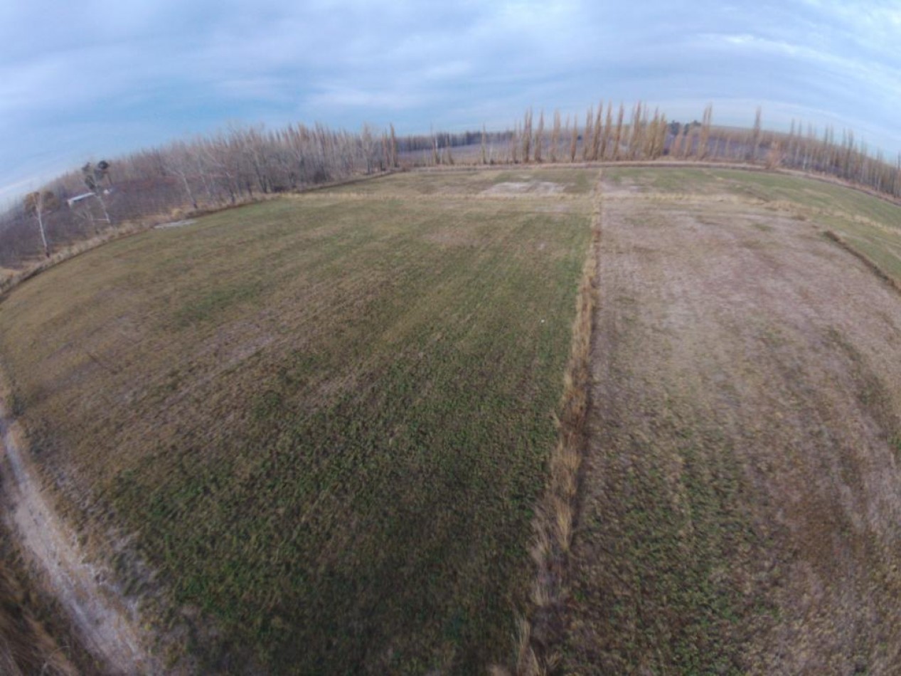 VENTA CHACRA 4.5 HECT. - GRAL. FERNANDEZ ORO - RIO NEGRO