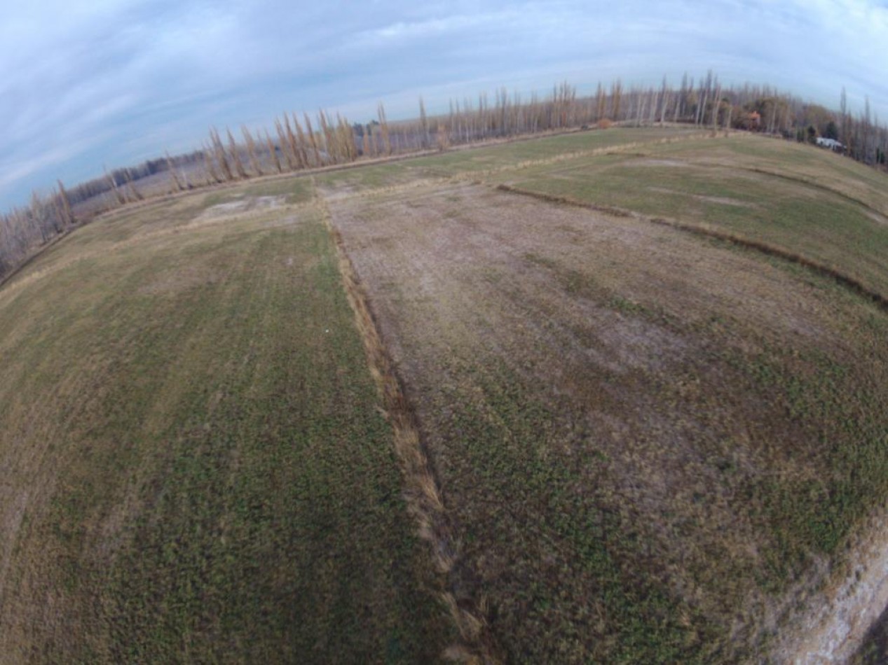 VENTA CHACRA 4.5 HECT. - GRAL. FERNANDEZ ORO - RIO NEGRO