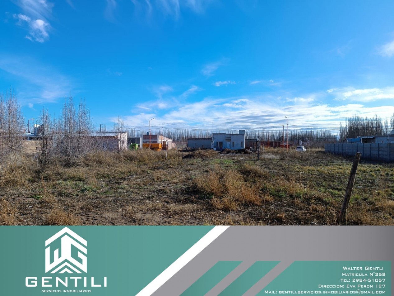 TERRENO EN VENTA - LOTEO MAGISTERIO - ALLEN - RIO NEGRO  