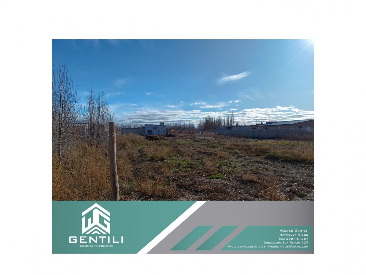 TERRENO EN VENTA - LOTEO MAGISTERIO - ALLEN - RIO NEGRO  