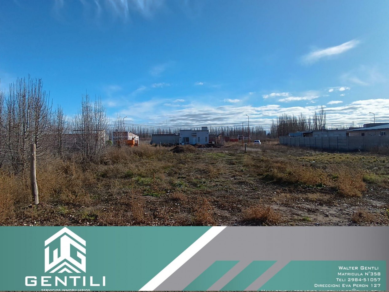 TERRENO EN VENTA - LOTEO MAGISTERIO - ALLEN - RIO NEGRO  