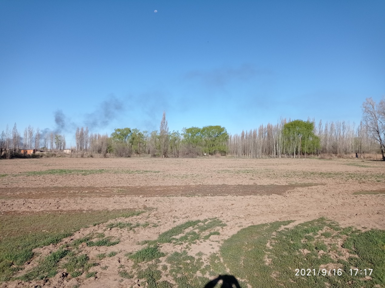 TERRENO EN VENTA - ALLEN - RIO NEGRO