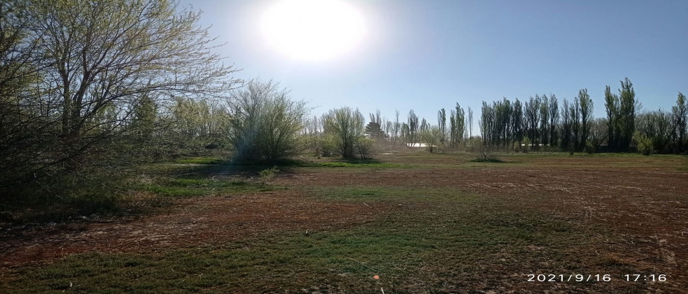 TERRENO EN VENTA - ALLEN - RIO NEGRO
