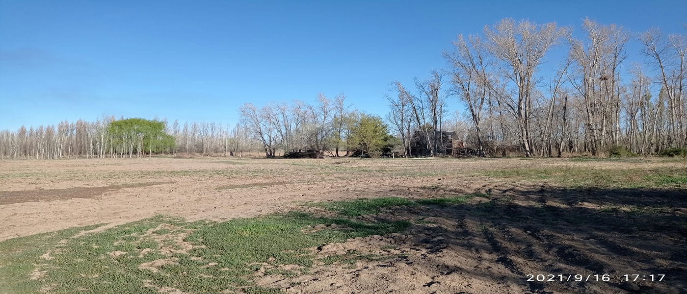 TERRENO EN VENTA - ALLEN - RIO NEGRO
