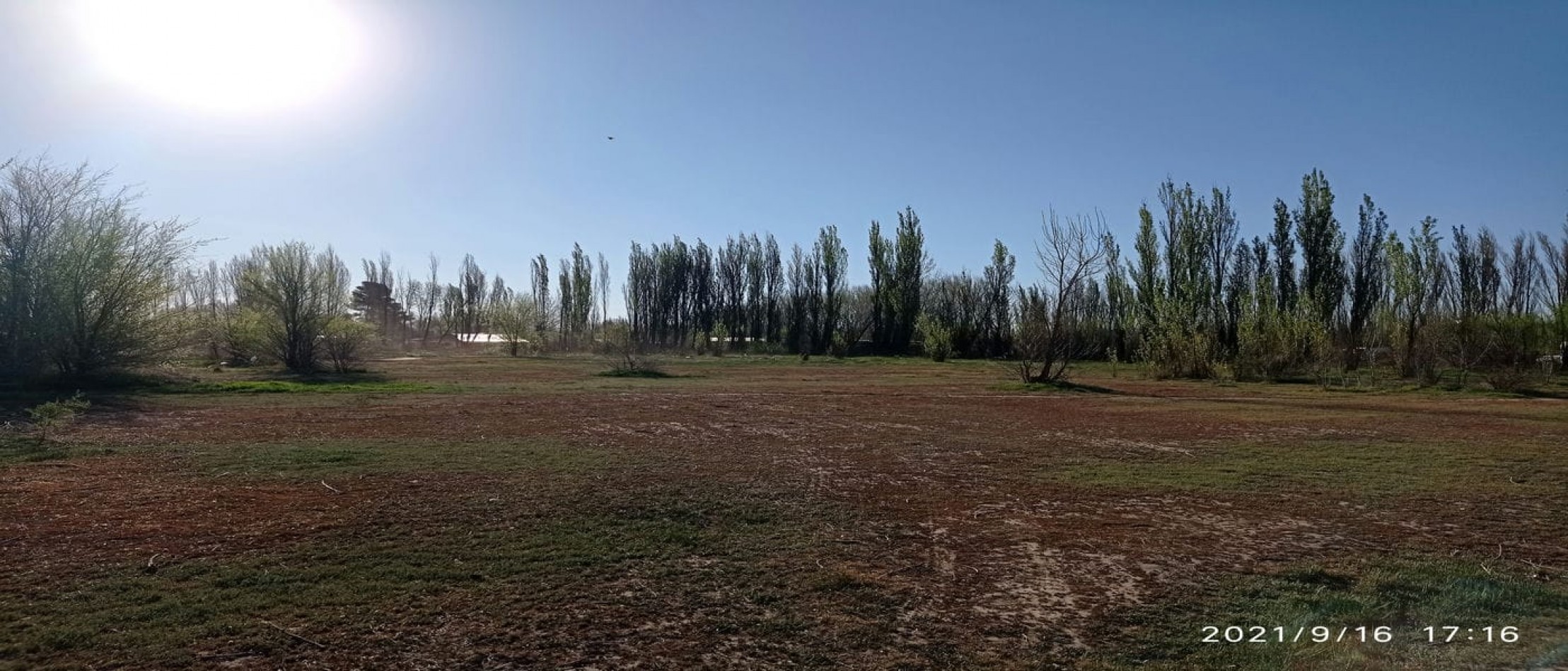 TERRENO EN VENTA - ALLEN - RIO NEGRO