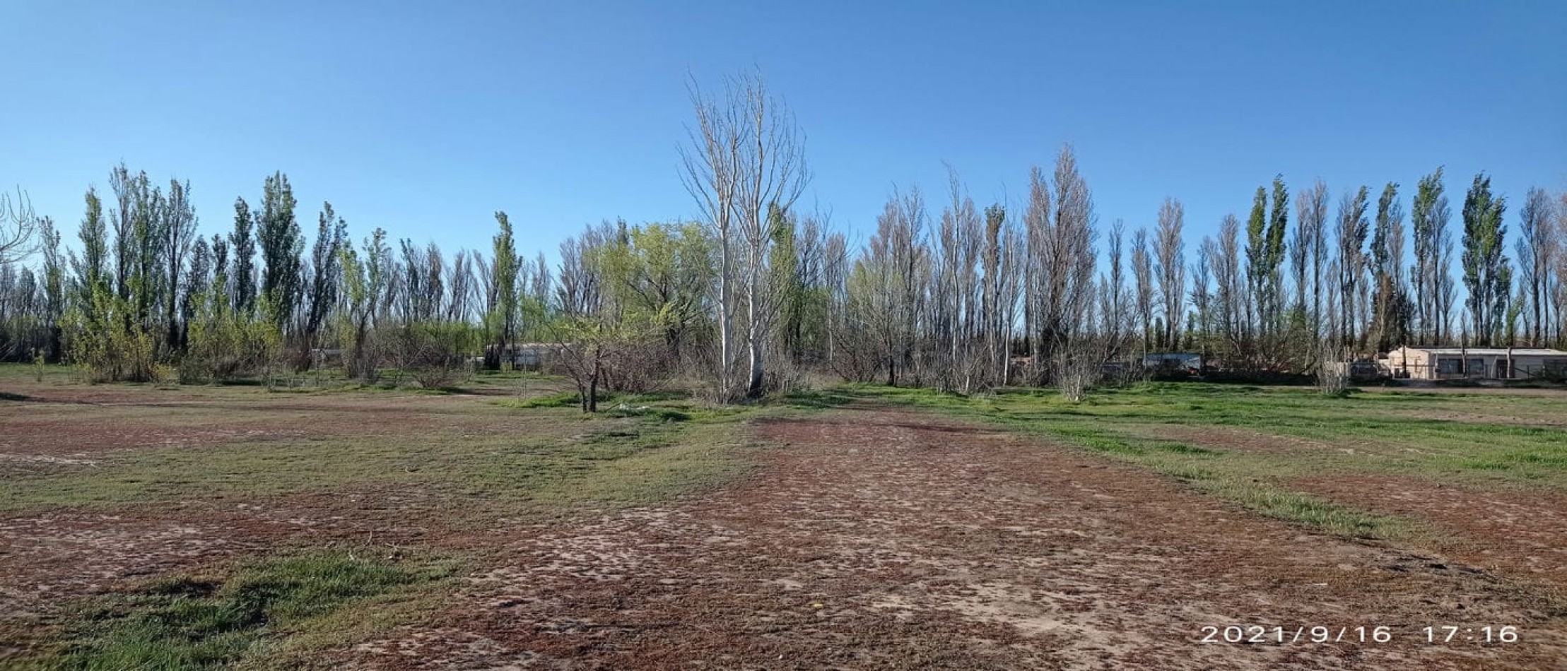 TERRENO EN VENTA - ALLEN - RIO NEGRO