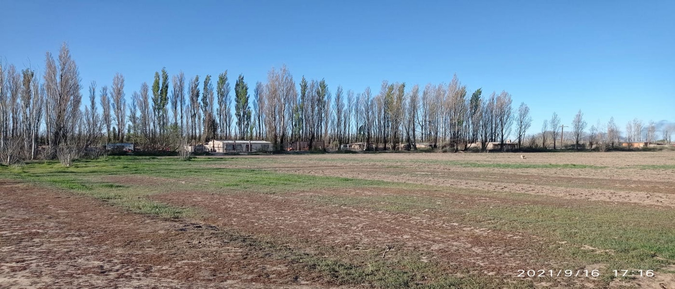 TERRENO EN VENTA - ALLEN - RIO NEGRO