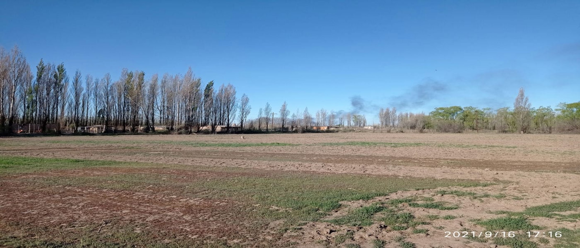 TERRENO EN VENTA - ALLEN - RIO NEGRO