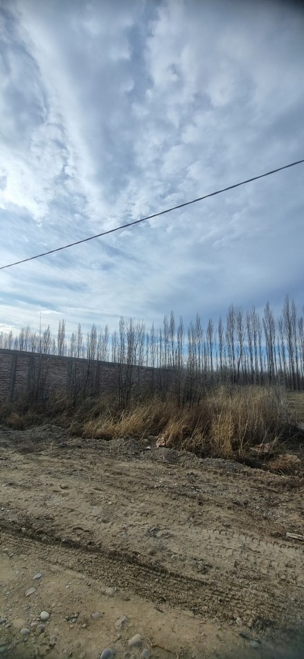 TERRENO EN VENTA - LOTEO MAGISTERIO ETAPA 2 - ALLEN - RIO NEGRO