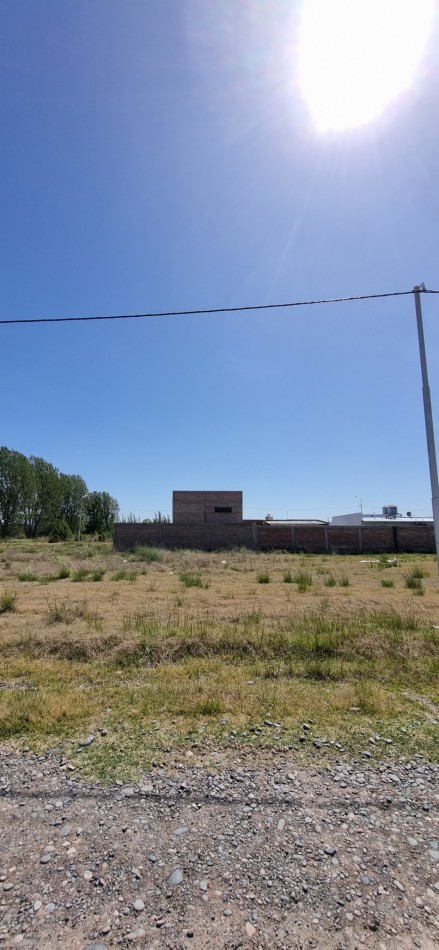 TERRENO EN VENTA - B° LOS JUANES - ALLEN