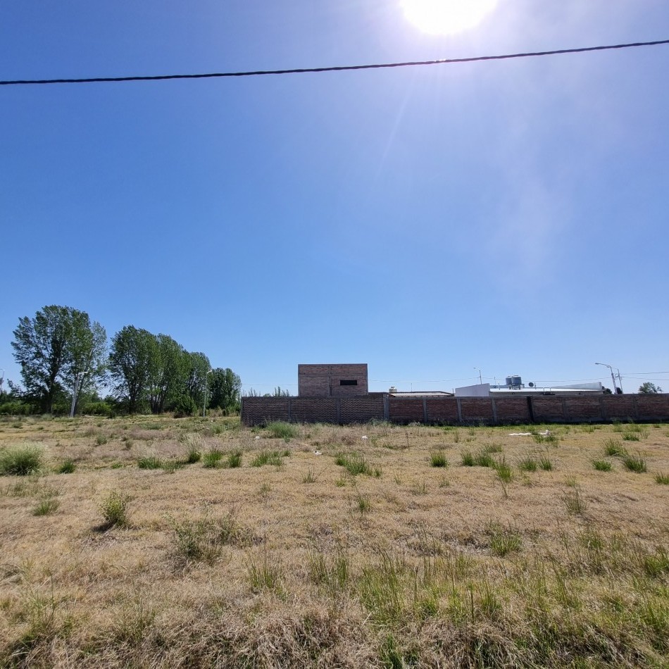 TERRENO EN VENTA - B° LOS JUANES - ALLEN