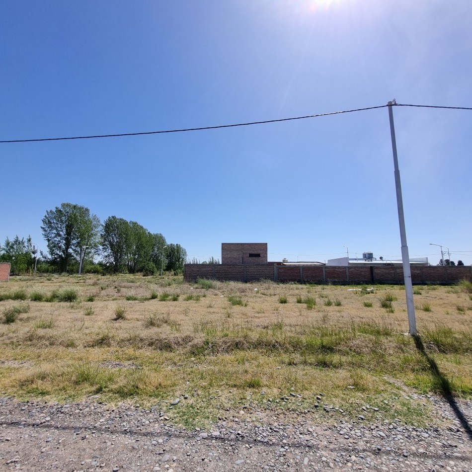 TERRENO EN VENTA - B° LOS JUANES - ALLEN