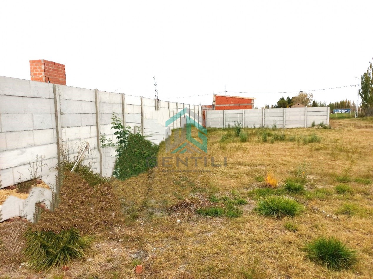 TERRENO - VENTA - B° LOS JUANES - ALLEN -RIO NEGRO