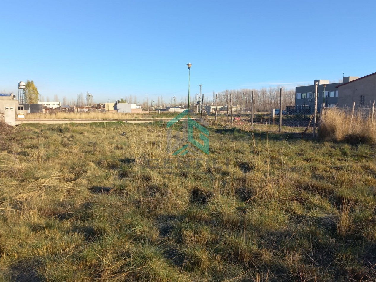 TERRENO - VENTA - B° JUDICIALES  - FERNANDEZ ORO -RIO NEGRO