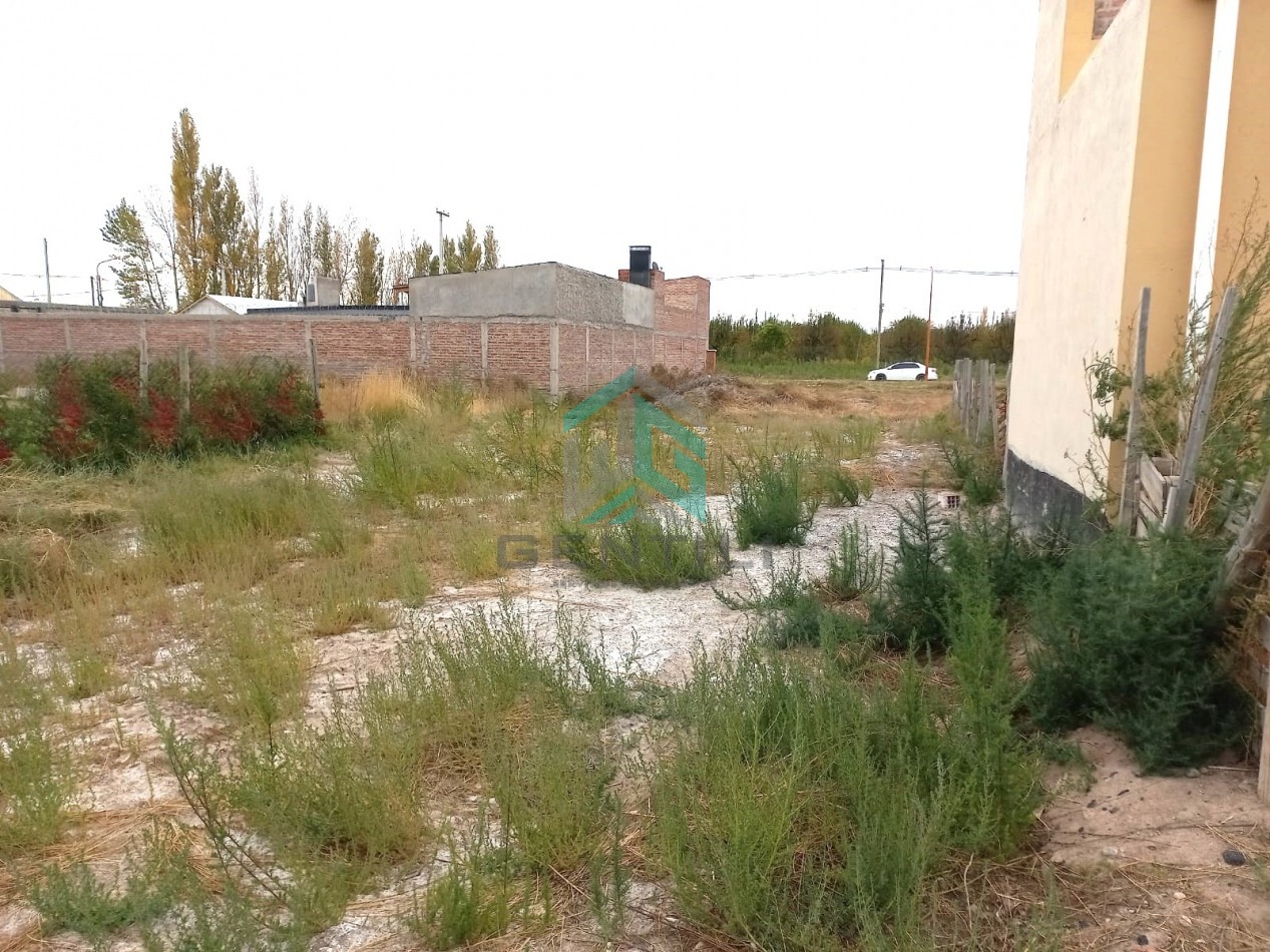 TERRENO - VENTA - B° LOS JAZMINEZ - ALLEN -RIO NEGRO