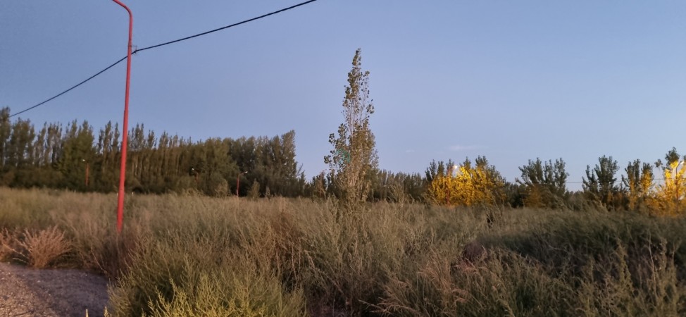 TERRENO EN VENTA -LOTEO DON FEDERICO - ALLEN
