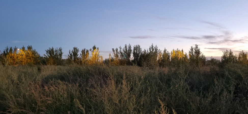 TERRENO EN VENTA -LOTEO DON FEDERICO - ALLEN