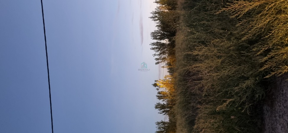 TERRENO EN VENTA -LOTEO DON FEDERICO - ALLEN