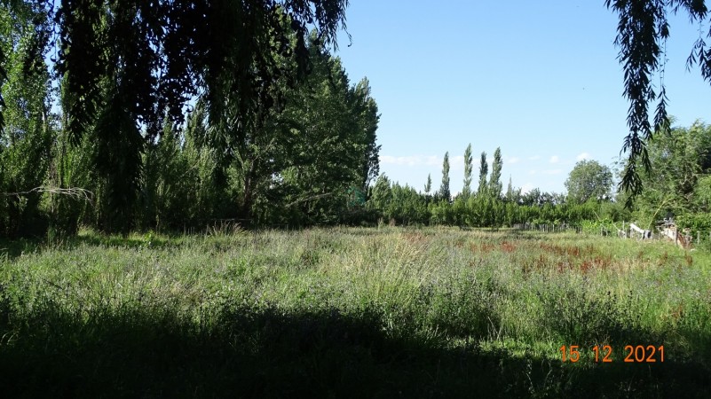 TERRENO CON FRENTE A RUTA NAC. No 22 - ALLEN - RIO NEGRO