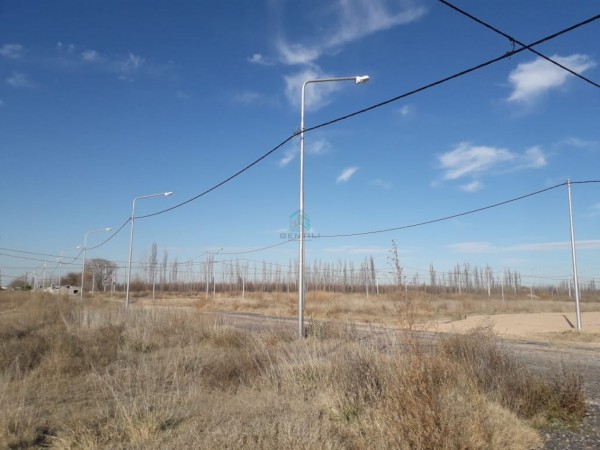 TERRENO EN VENTA -  Bo LOS JUANES - ALLEN - RIO NEGRO