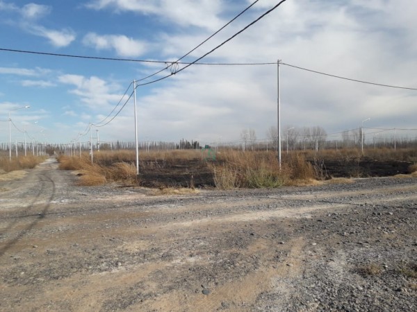 TERRENO EN VENTA -  Bo LOS JUANES - ALLEN - RIO NEGRO