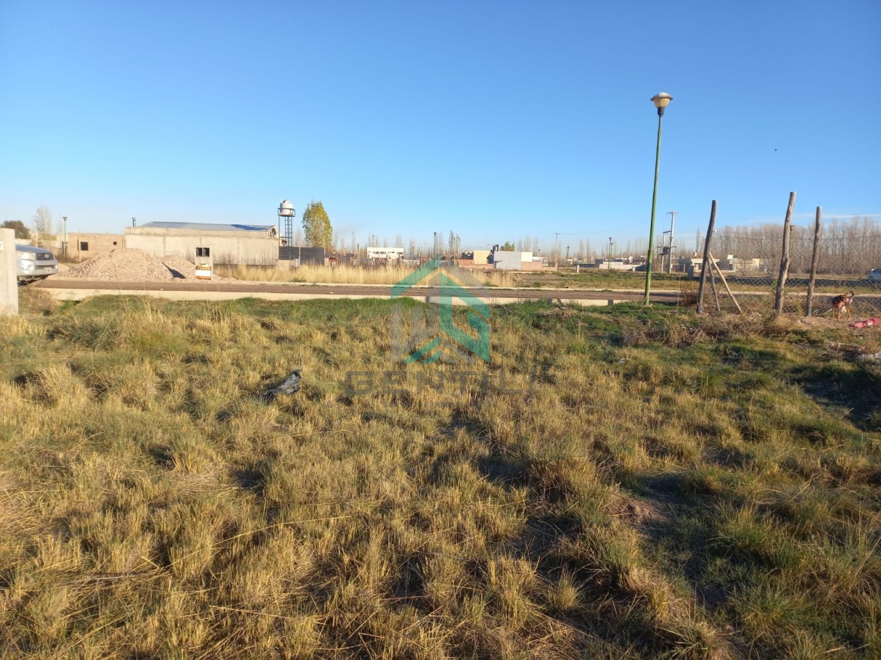 TERRENO - VENTA - B° JUDICIALES  - FERNANDEZ ORO -RIO NEGRO