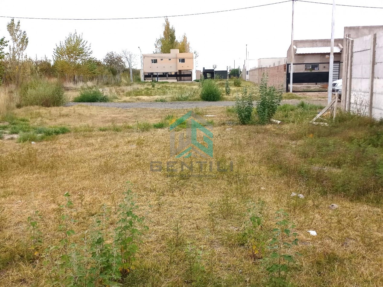 TERRENO - VENTA - B° LOS JUANES - ALLEN -RIO NEGRO