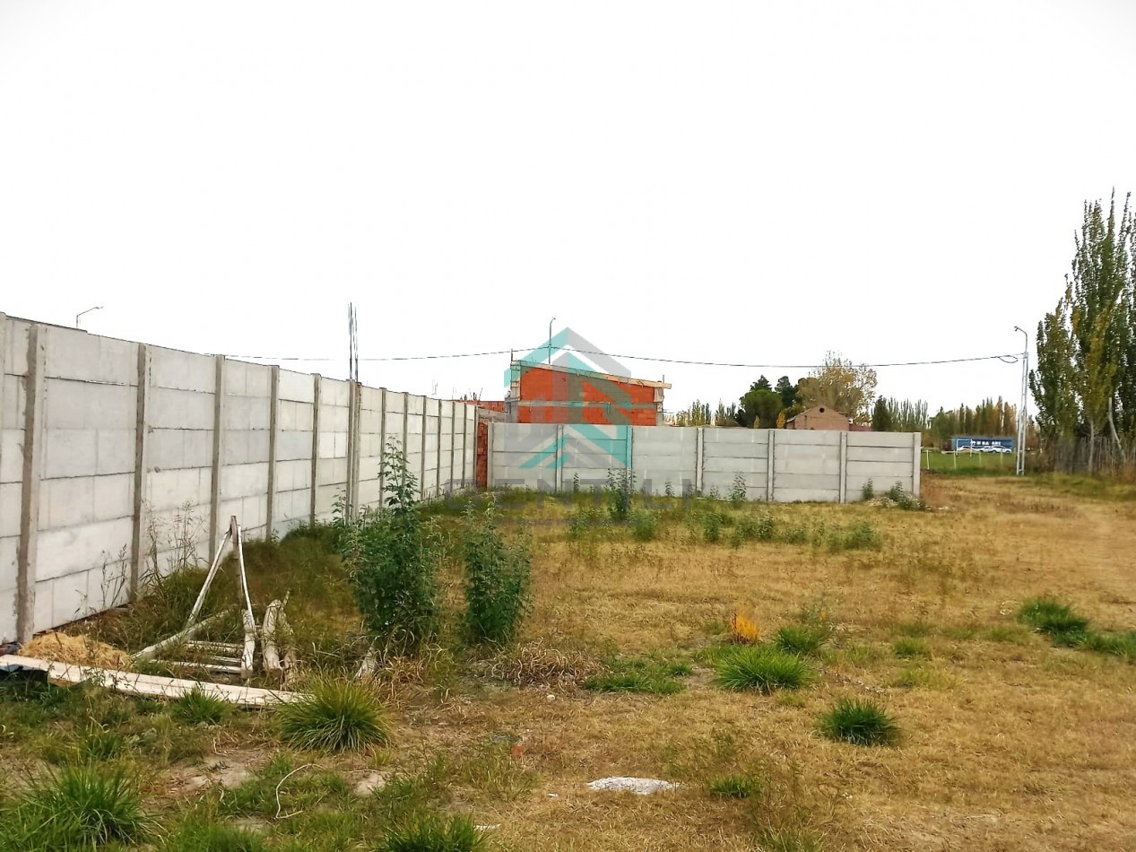 TERRENO - VENTA - B° LOS JUANES - ALLEN -RIO NEGRO
