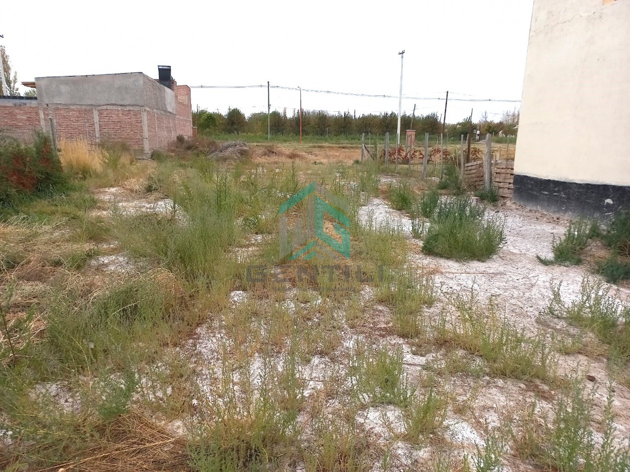 TERRENO - VENTA - B° LOS JAZMINEZ - ALLEN -RIO NEGRO