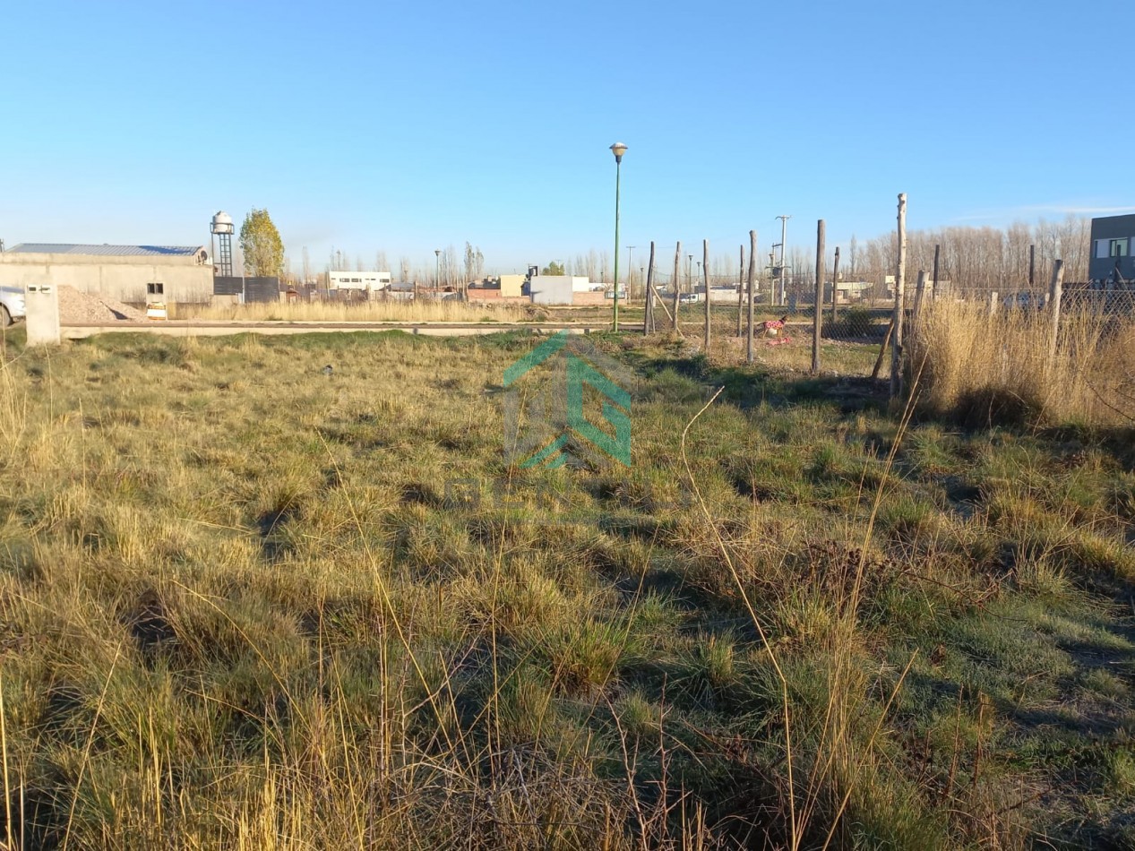 TERRENO - VENTA - B° JUDICIALES  - FERNANDEZ ORO -RIO NEGRO