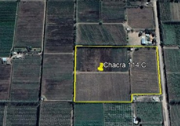 CHACRA EN VENTA - 9.15 HECT - GUERRICO - RIO NEGRO