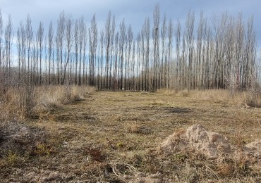 TERRENO EN VENTA - LOTEO MAGISTERIO ETAPA 2 - ALLEN - RIO NEGRO