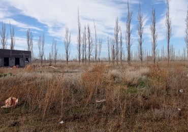 TERRENO EN VENTA - Bo SAN SEBASTIAN - GRAL. ROCA