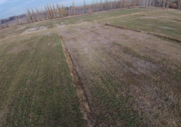 VENTA CHACRA 4.5 HECT. - GRAL. FERNANDEZ ORO - RIO NEGRO