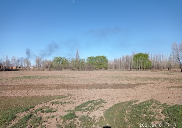 TERRENO EN VENTA - ALLEN - RIO NEGRO